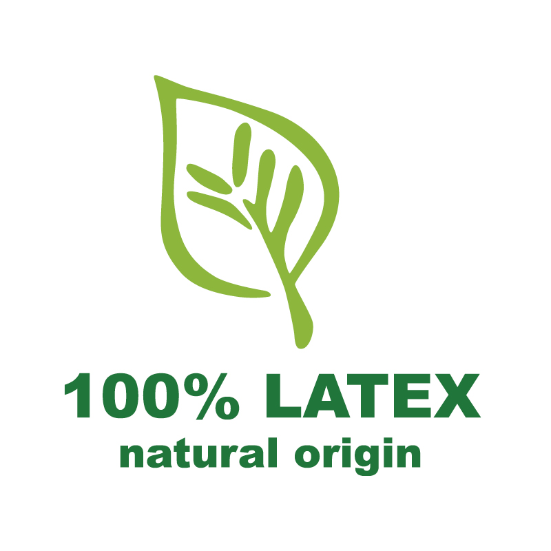 LATTICE_logo_100-LATEX